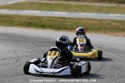 DSC_0275 (3)